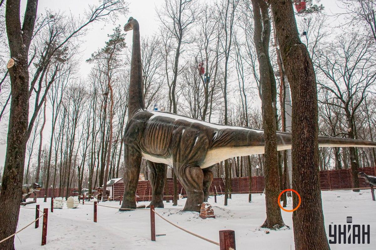 Hunden var nær det nederste venstre hjørne af billedet / Moje collage