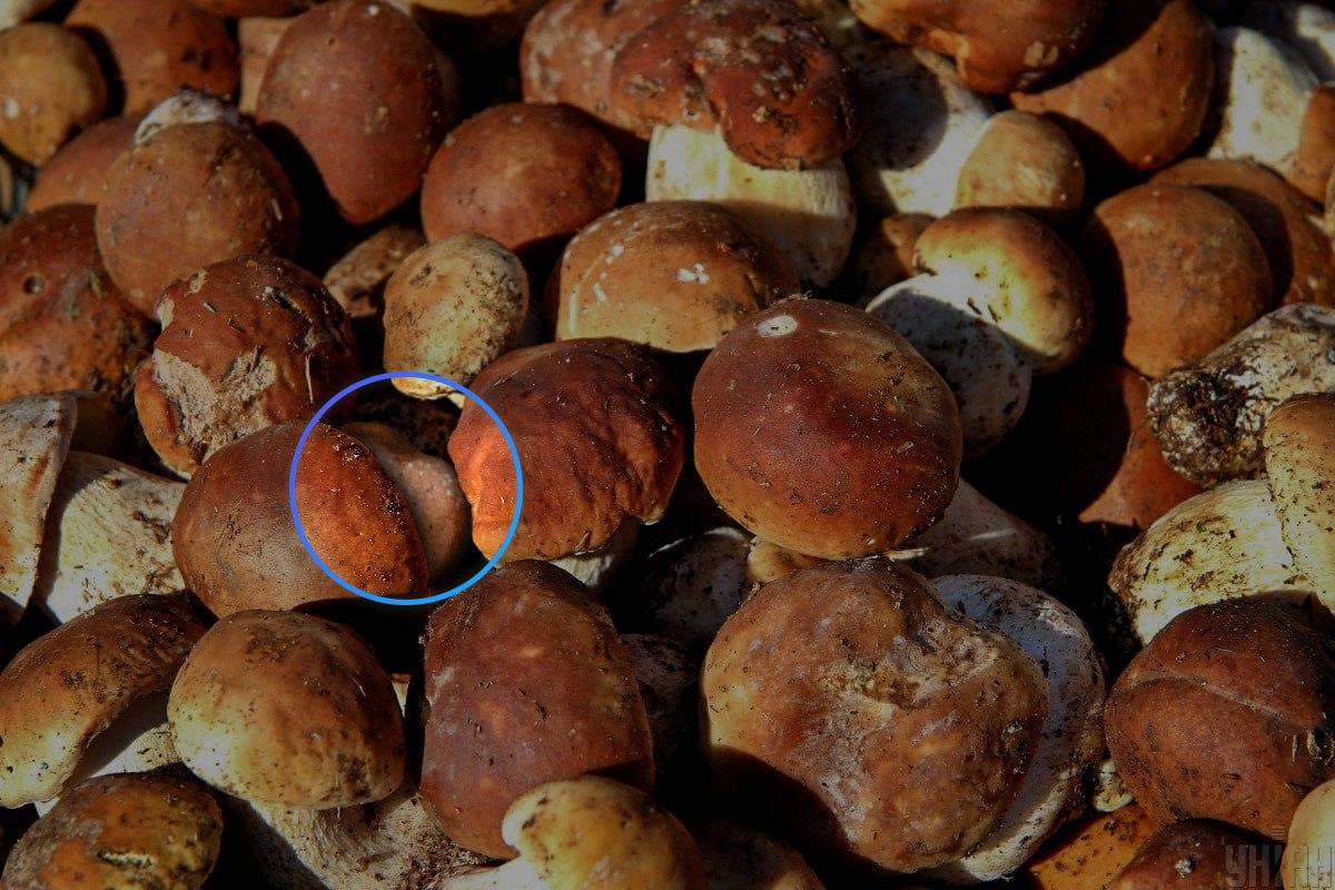 Stenen var næsten i midten af den optiske illusion / Moje-collage