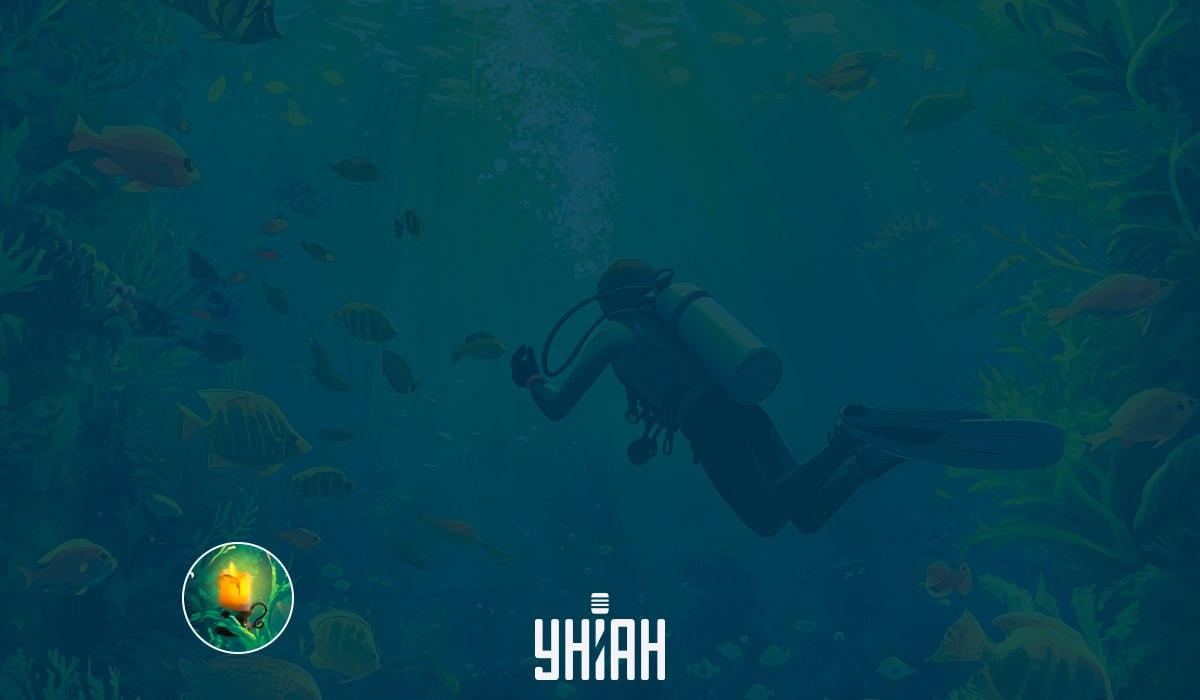 Billede IQ-test / billede Moje