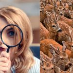 At finde tre geder blandt hjortene på 11 sekunder: en